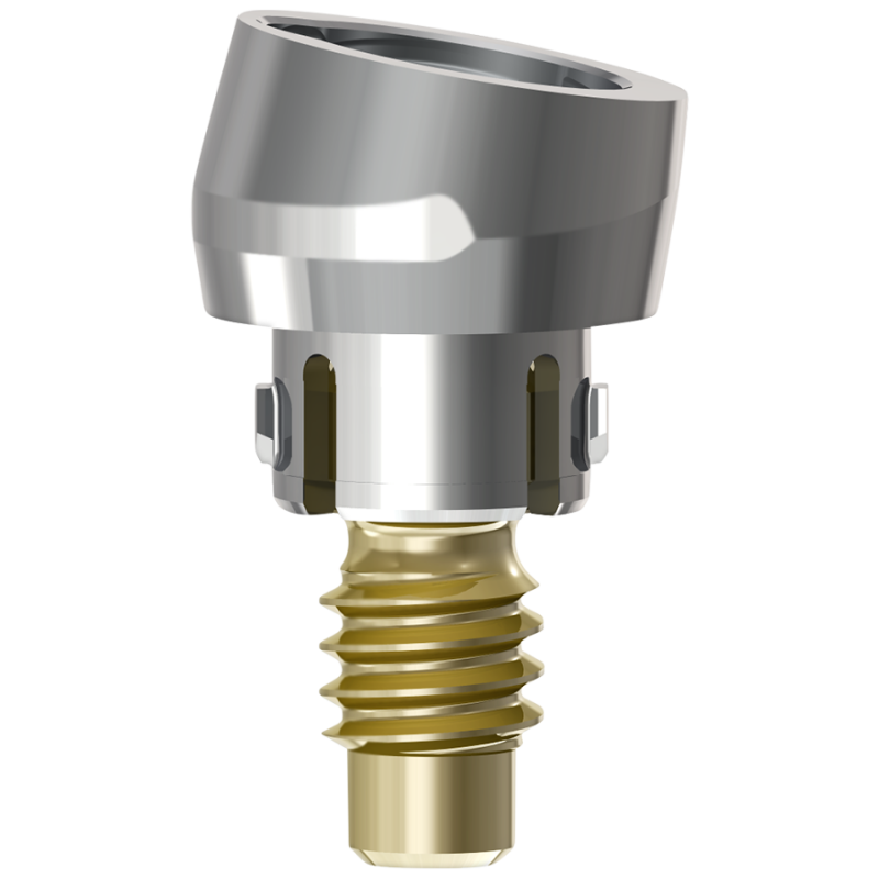 Access Abutment 10° 2.6mm 31219